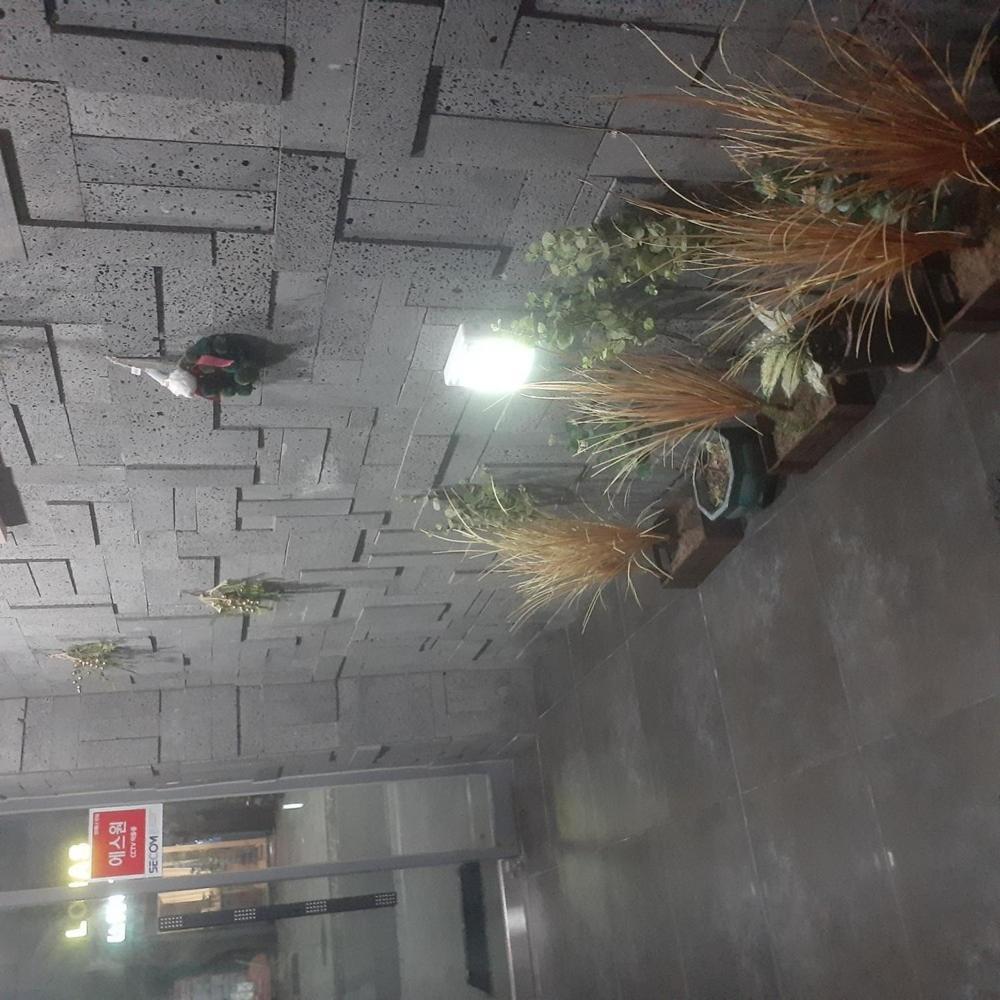 Daecheon Island Hotel 보령 외부 사진